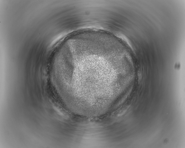 X0000093121064200710241258