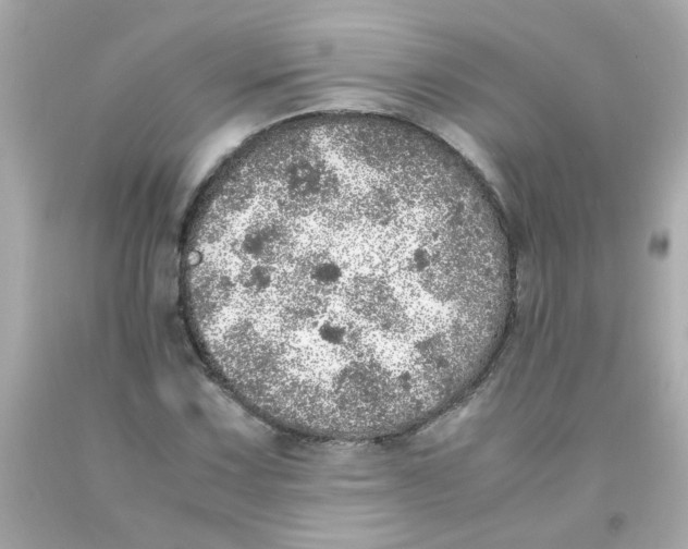 X0000093121067200710241258