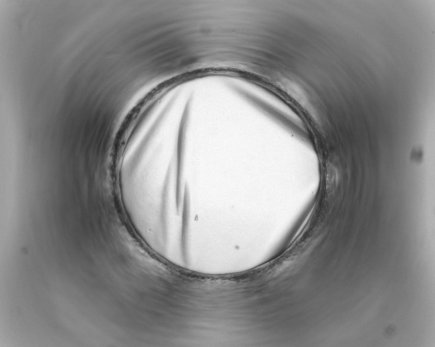 X0000093121068200710241258