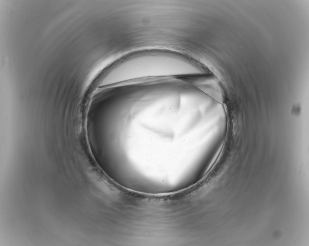 X0000093121069200710241258