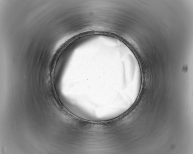 X0000093121070200710241258