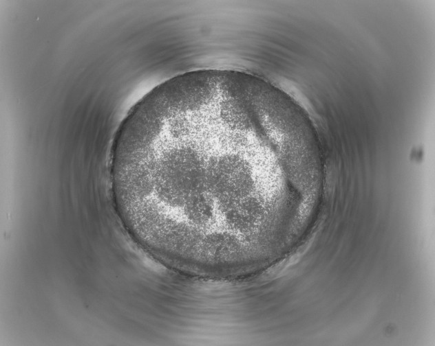 X0000093121071200710241258