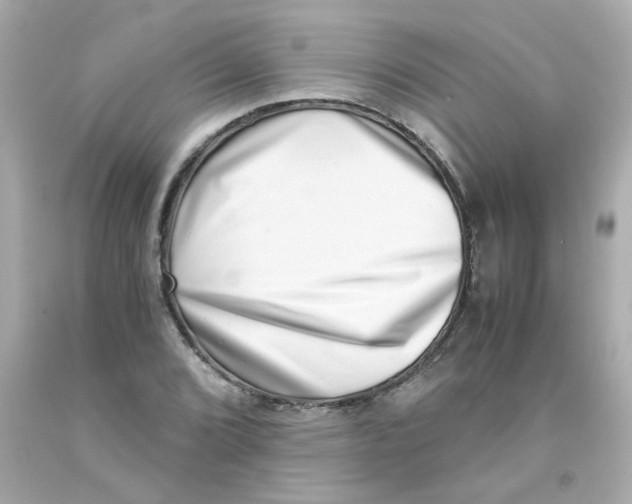 X0000093121072200710241258