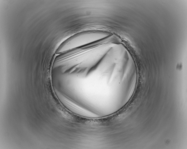 X0000093121073200710241258