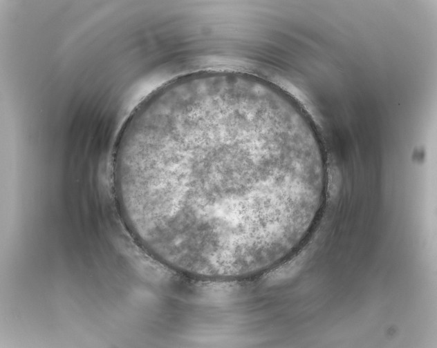 X0000093121074200710241258