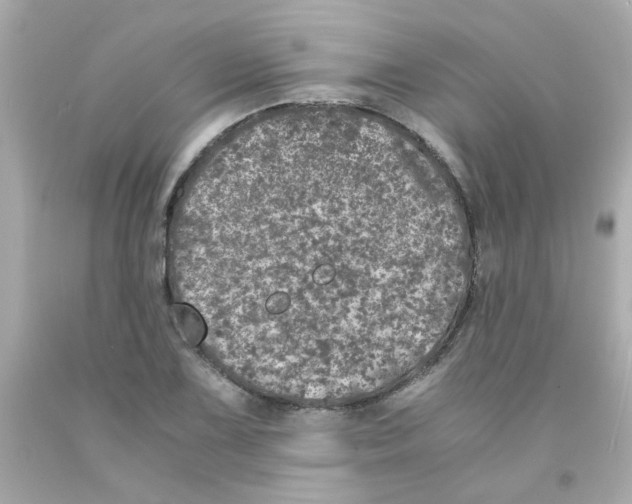 X0000093121075200710241258