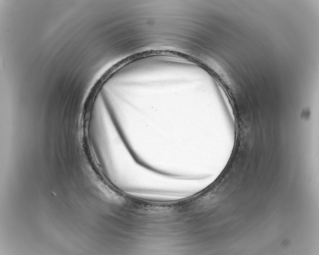 X0000093121076200710241258