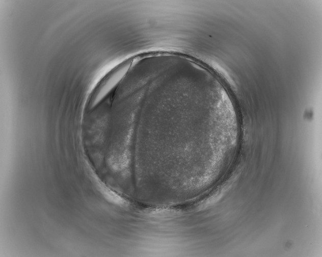 X0000093121077200710241258