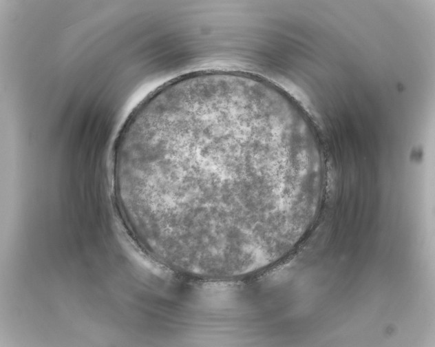 X0000093121078200710241258