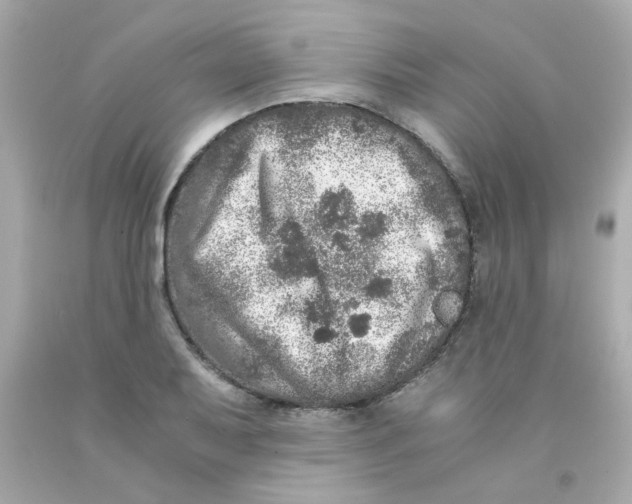 X0000093121079200710241258