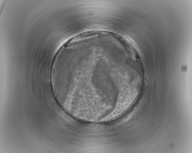 X0000093121081200710241257