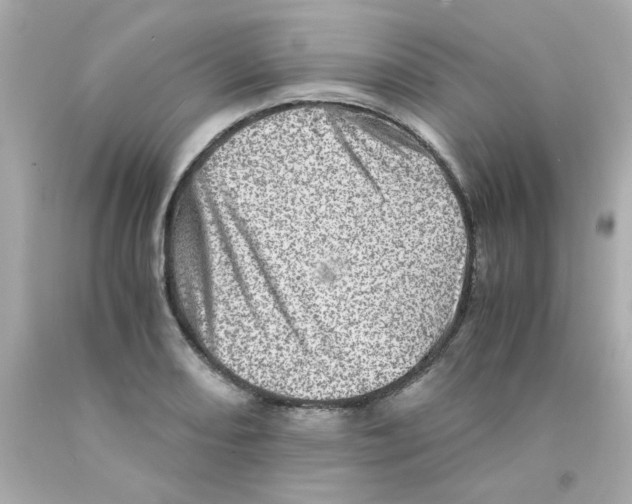 X0000093121082200710241257