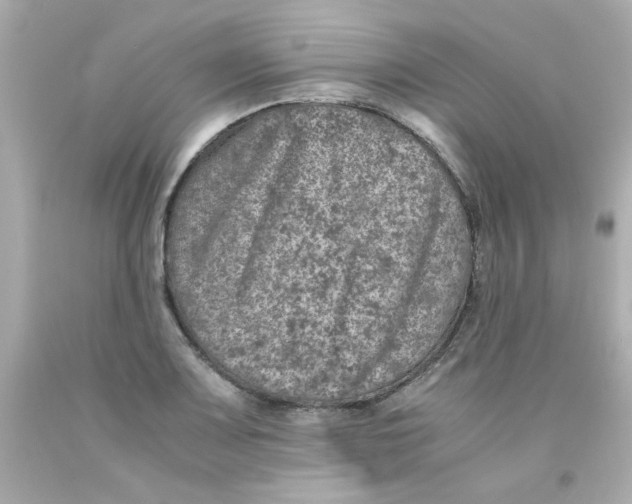 X0000093121083200710241257