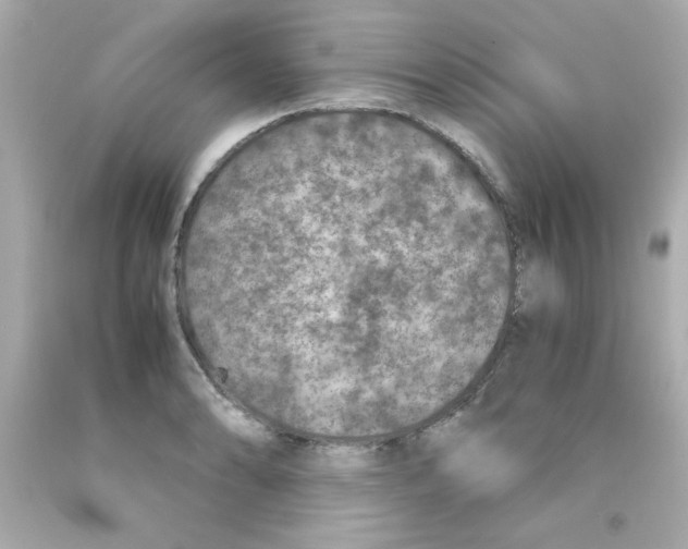 X0000093121086200710241257