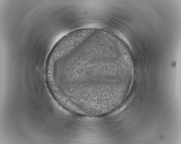 X0000093121087200710241257