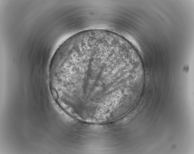 X0000093121088200710241257