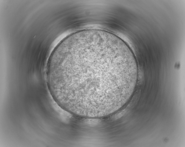 X0000093121090200710241257