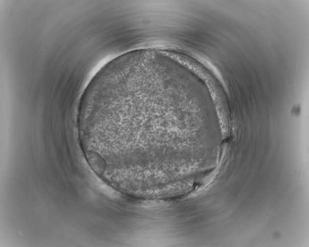 X0000093121091200710241257