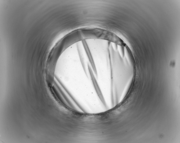 X0000093121093200710241257