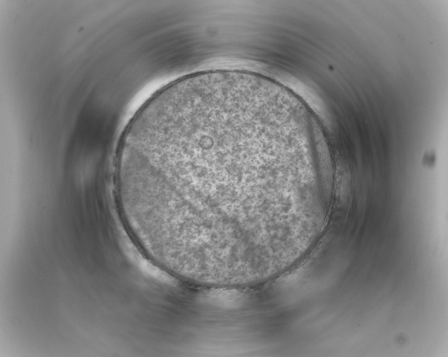 X0000093121094200710241257