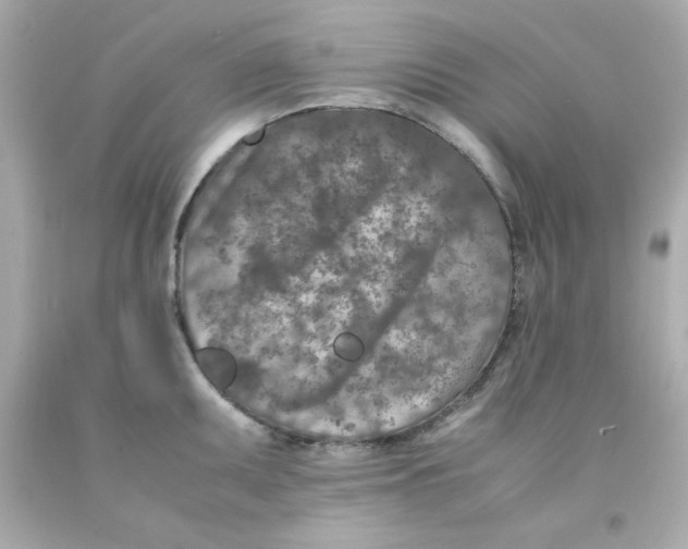 X0000093121095200710241257