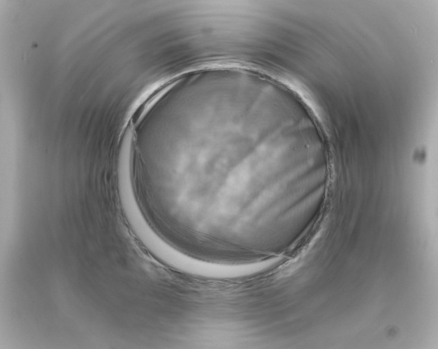 X0000093121097200710241257