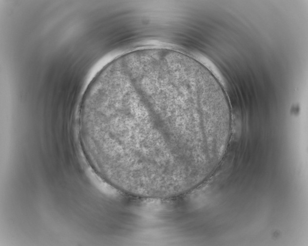 X0000093121098200710241257