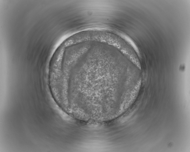 X0000093121099200710241257