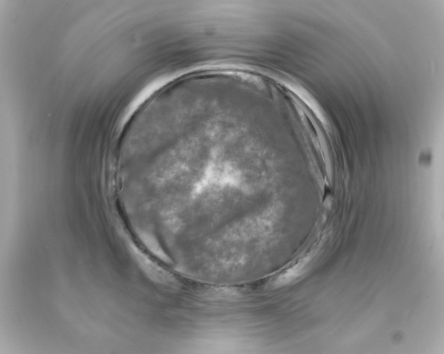 X0000093121101200710241257