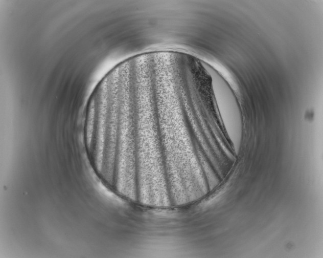 X0000093121102200710241257