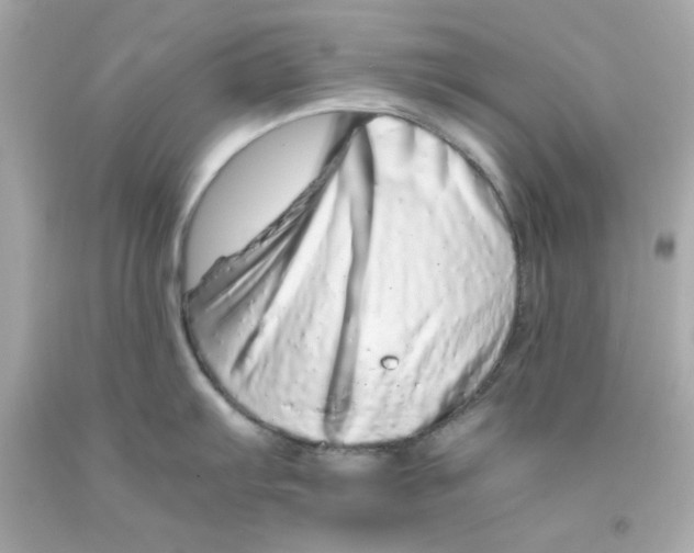 X0000093121103200710241257