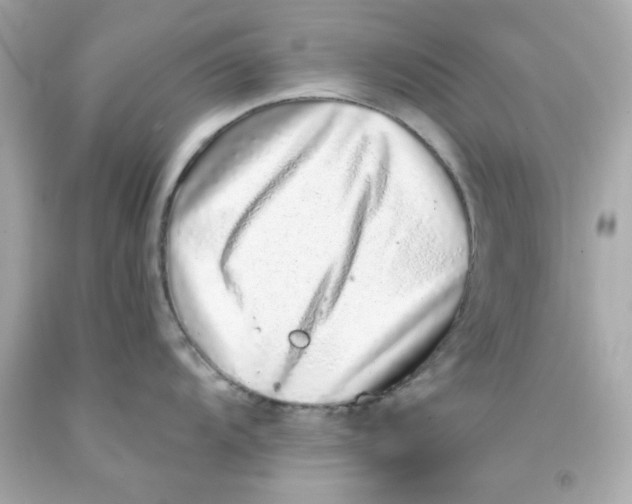 X0000093121104200710241257