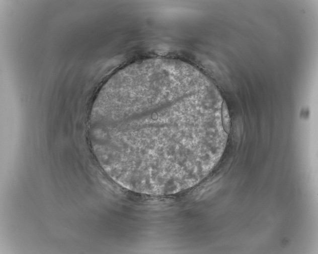 X0000093121105200710241257