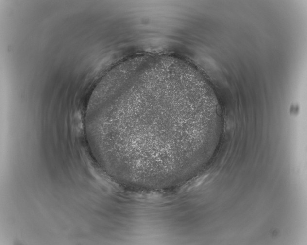 X0000093121106200710241257