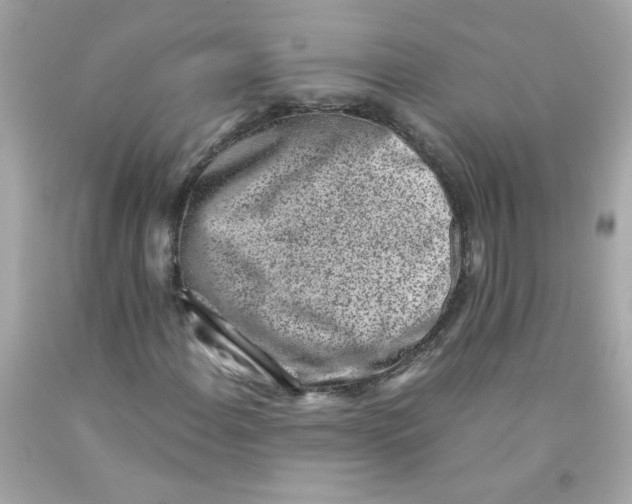 X0000093121108200710241257