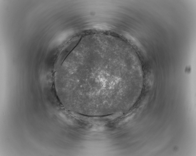 X0000093121110200710241257