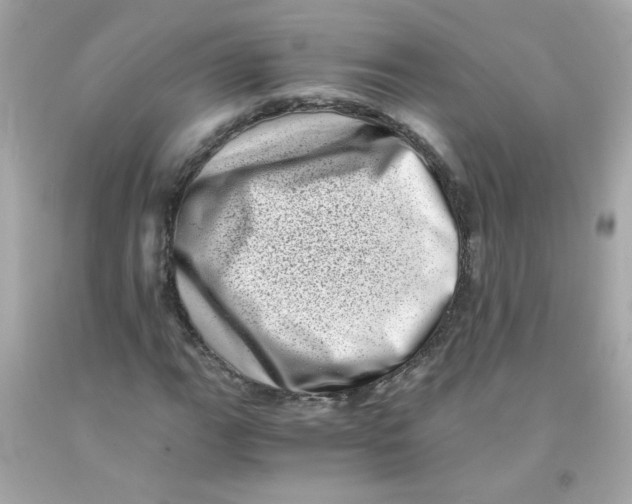 X0000093121111200710241257