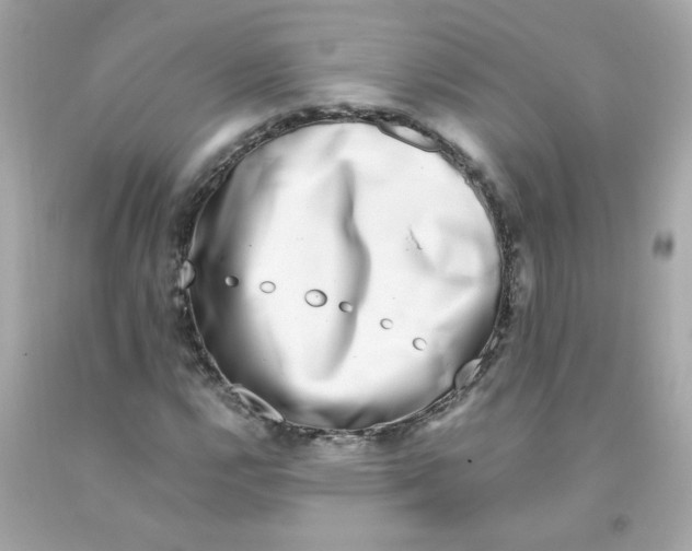 X0000093121112200710241257