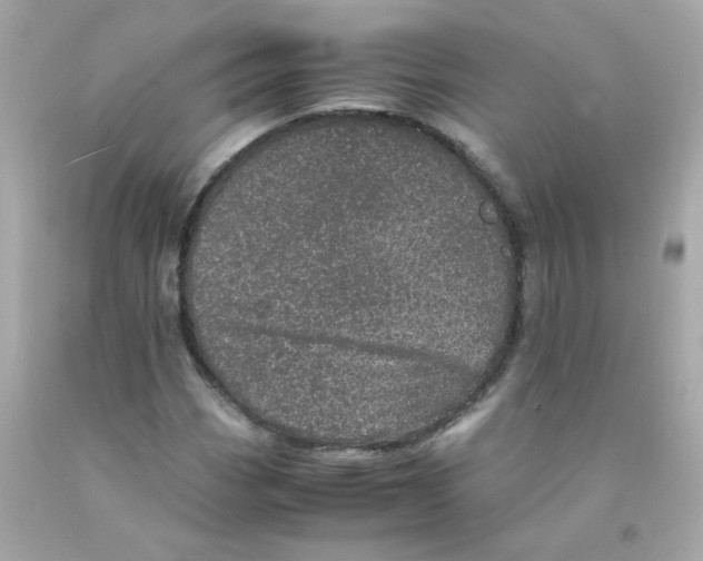 X0000093121113200710241257