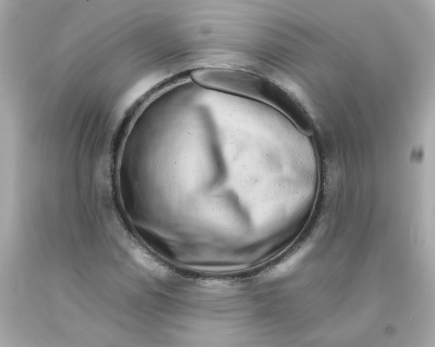 X0000093121114200710241257