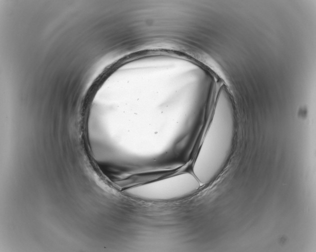 X0000093121116200710241257