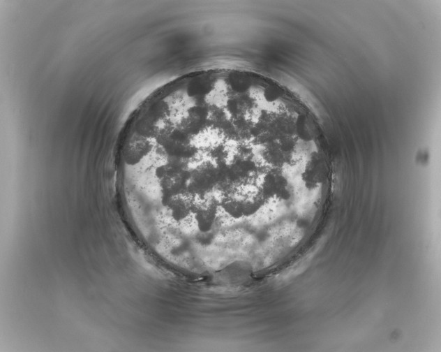 X0000093121117200710241257