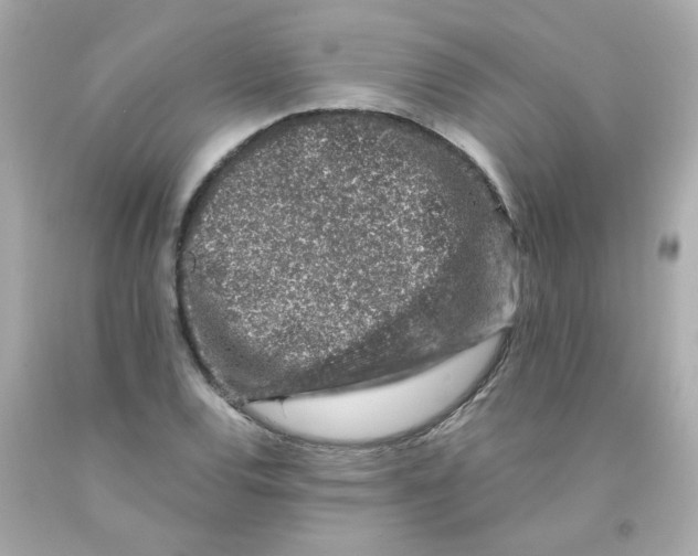 X0000093121120200710241257