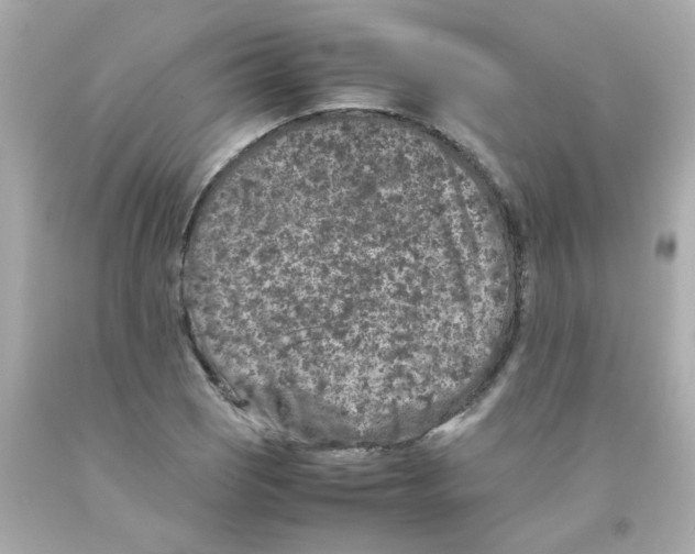 X0000093121121200710241257