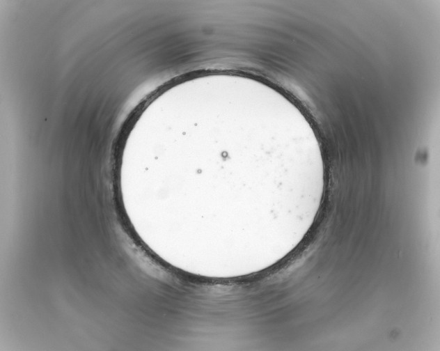 X0000093121122200710241257