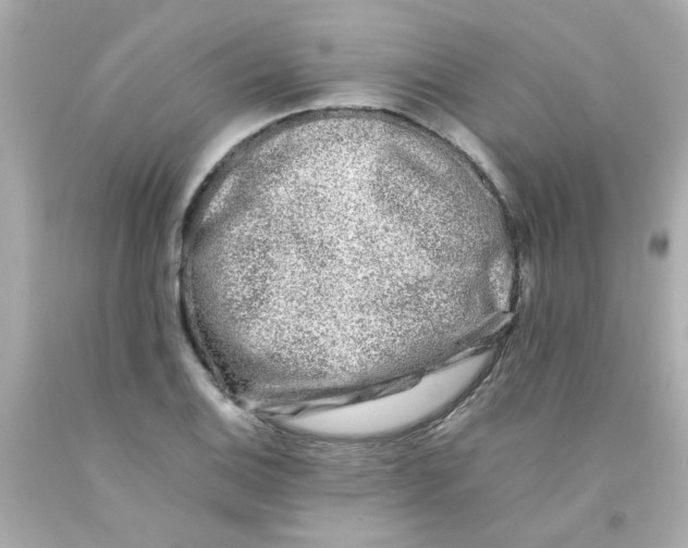 X0000093121124200710241257