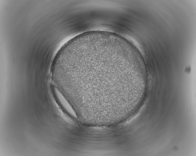 X0000093121125200710241257