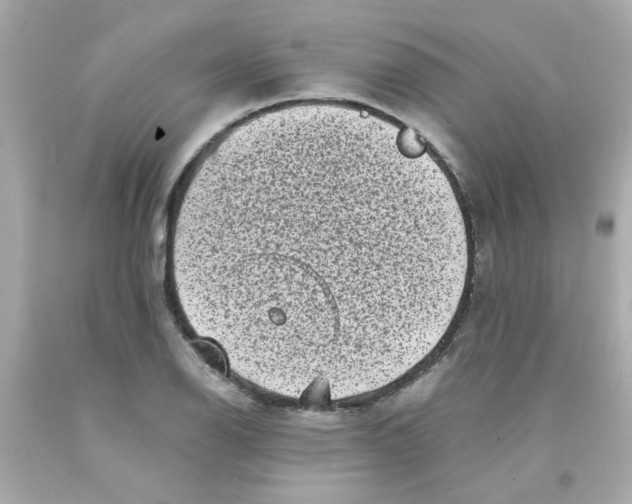 X0000093121126200710241257