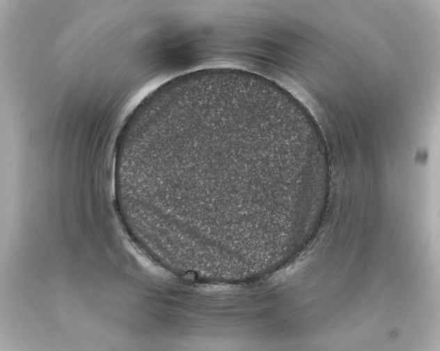 X0000093121127200710241257