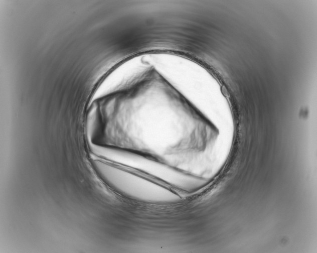 X0000093121129200710241257